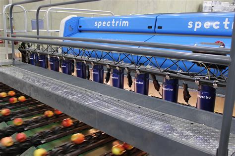 compac sorting equipment|fruit sorting machines.